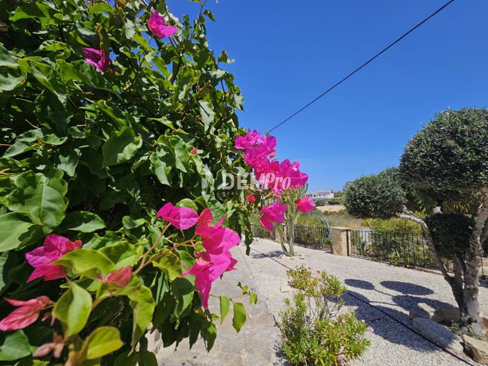 Image No.37-3 Bed Villa for sale