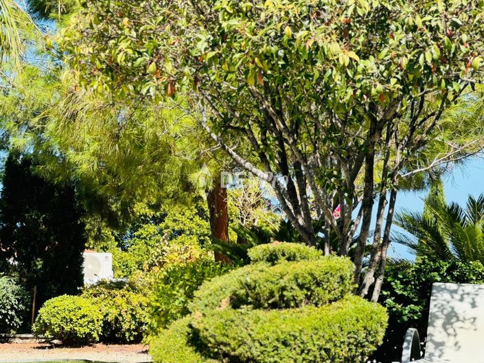 Image No.31-Villa de 3 chambres à vendre à Paphos