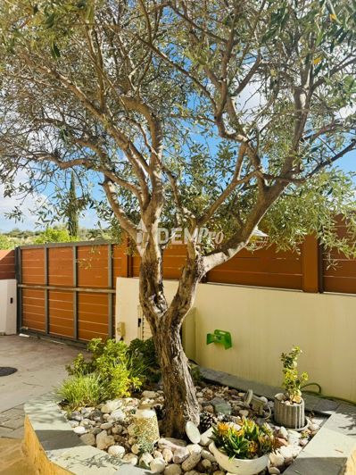 Image No.34-Villa de 3 chambres à vendre à Paphos