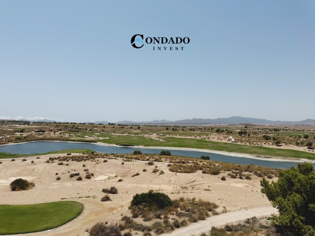 Image No.21-Penthouse for sale