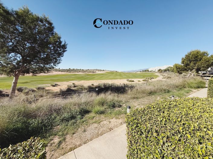 Image No.30-2 Bed Penthouse for sale