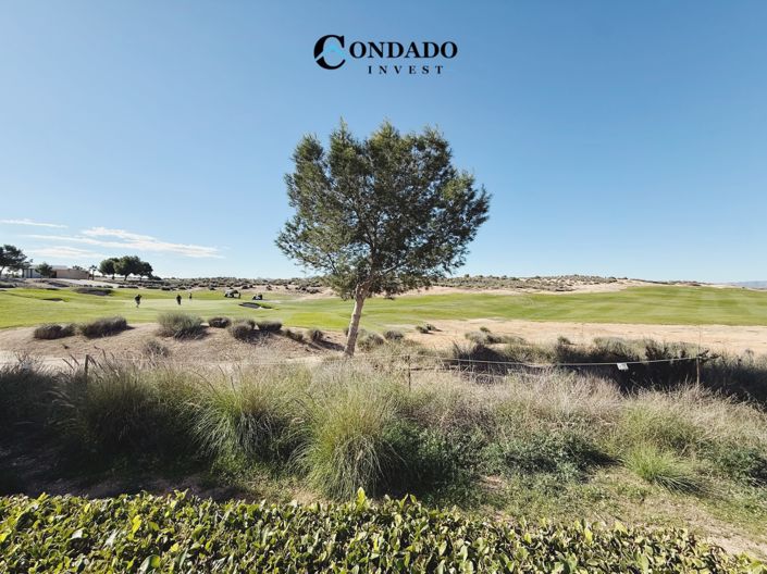 Image No.32-2 Bed Penthouse for sale