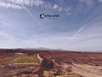 photo-output4-2025-12-09t134724715-scaled