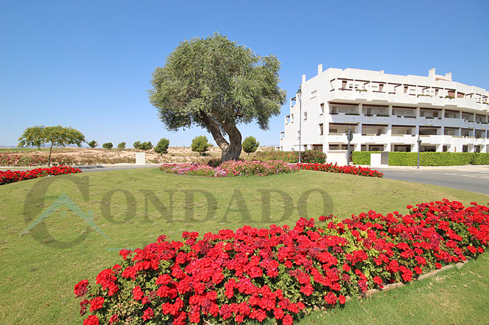Image No.5-Appartement de 3 chambres à vendre à Condado de Alhama