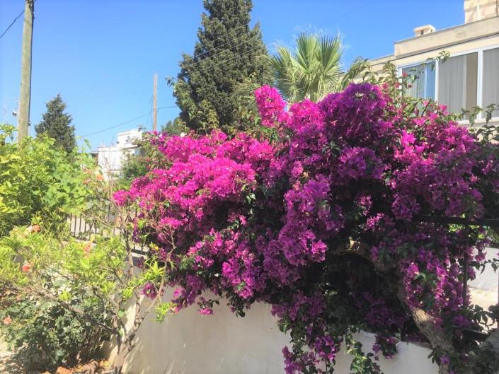 Image No.23-3 Bed Villa for sale