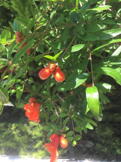 Image No.24-3 Bed Villa for sale