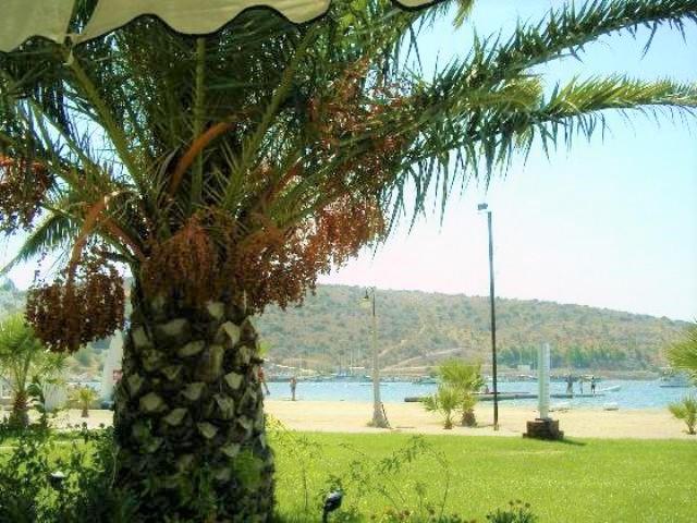 Image No.27-4 Bed Villa for sale