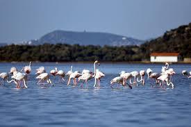 Image No.36-2 Bed Apartment for sale