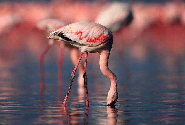 Image No.41-Appartement de 2 chambres à vendre à Güvercinlik
