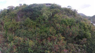 DJI00039