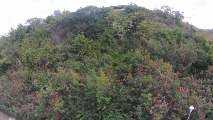 Image No.6-Land for sale