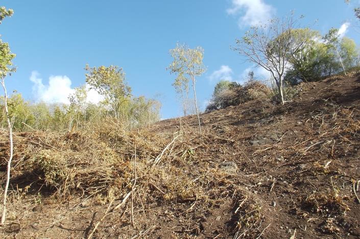 Image No.26-Land for sale