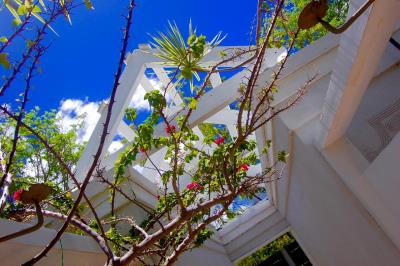 IMG-20210428-WA0020