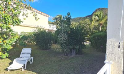 403h-garden