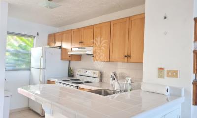 403h-kitchen