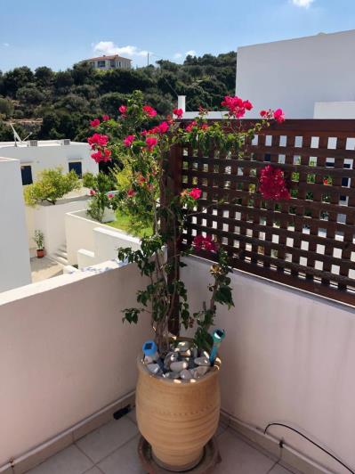 Image No.17-1 Bed Apartment for sale