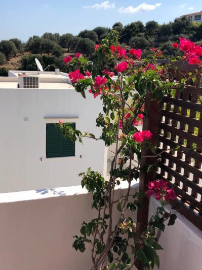 Image No.18-1 Bed Apartment for sale