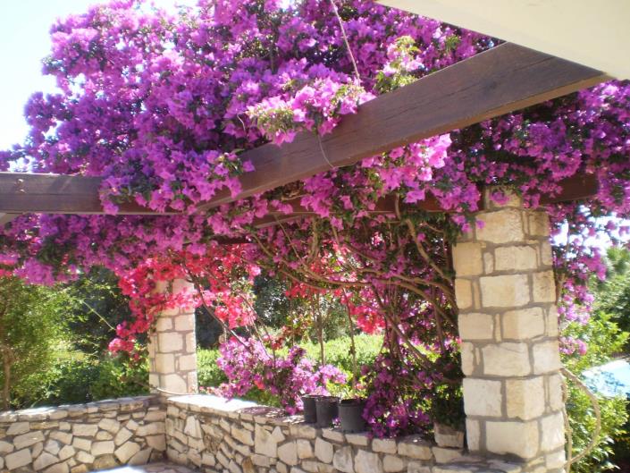 Image No.18-Maison de 2 chambres à vendre à Skaleta