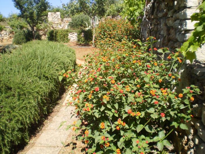 Image No.17-Maison de 2 chambres à vendre à Skaleta