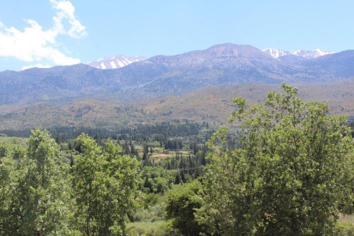 Image No.16-3 Bed House for sale