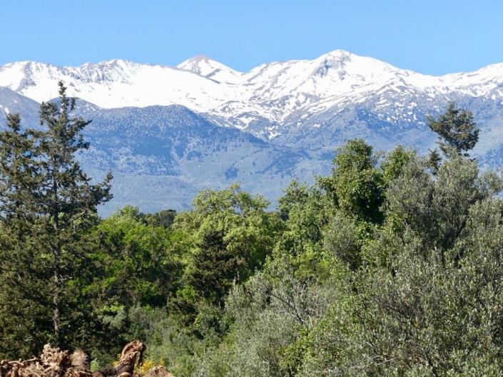 Image No.16-Maison de 2 chambres à vendre à Drapanos