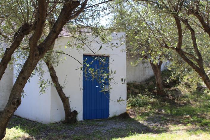 Image No.15-Maison de 2 chambres à vendre à Filipos