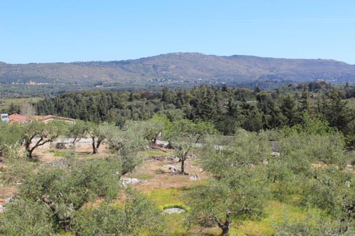 Image No.12-Maison de 2 chambres à vendre à Filipos