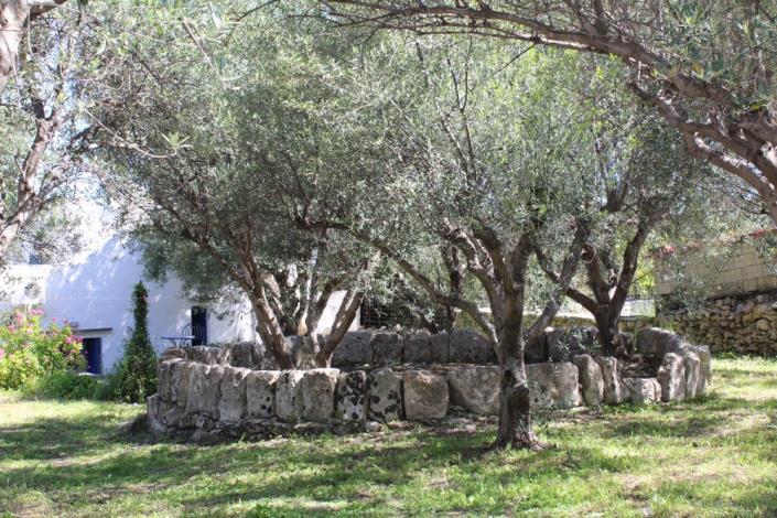 Image No.17-Maison de 2 chambres à vendre à Filipos