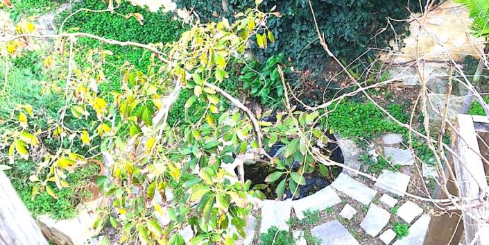 Image No.26-Maison de 4 chambres à vendre à Maroulas