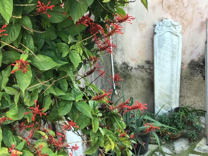 Image No.34-4 Bed Villa for sale