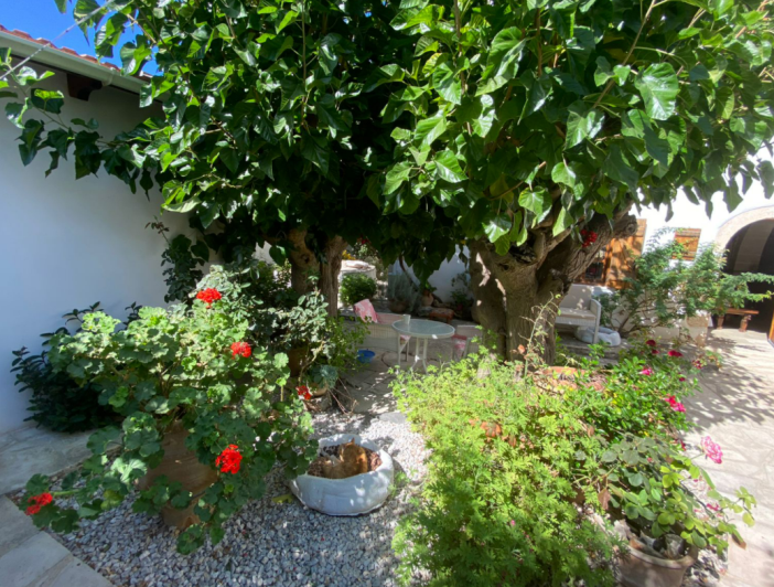 Image No.37-Maison / Villa de 3 chambres à vendre à Litsarda