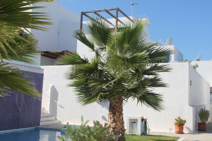 Image No.8-1 Bed Apartment for sale