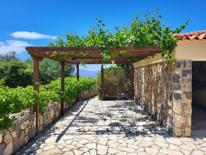 Image No.40-5 Bed Villa for sale