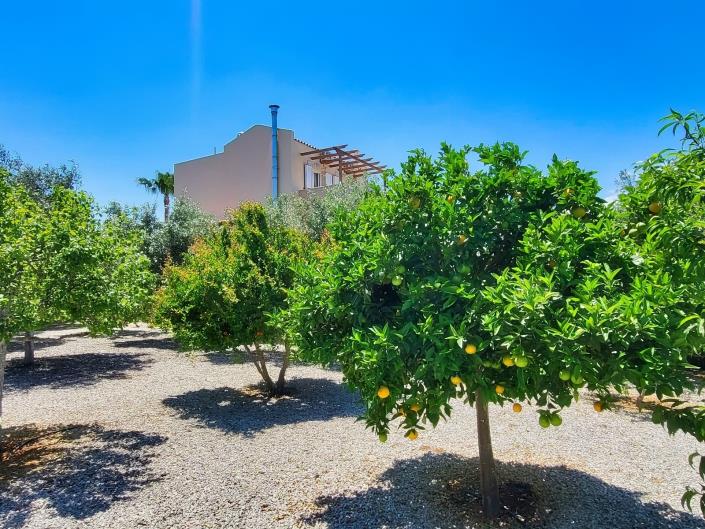 Image No.43-5 Bed Villa for sale