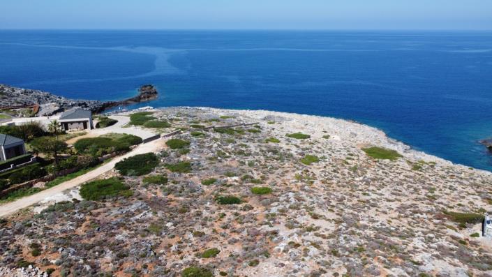 Image No.2-Terre à vendre à Crète