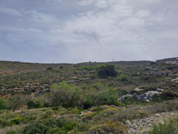 Image No.12-Terre à vendre à Chania