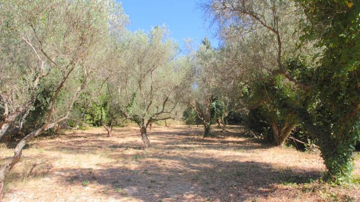 Image No.5-Villa de 6 chambres à vendre à Apokoronas