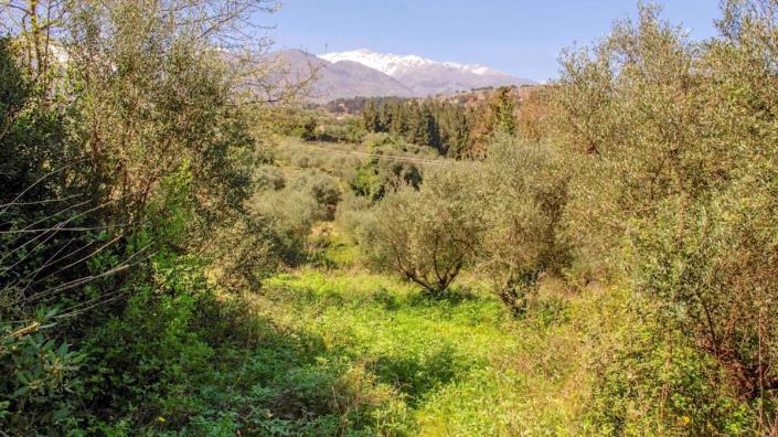 Image No.7-Villa de 6 chambres à vendre à Apokoronas