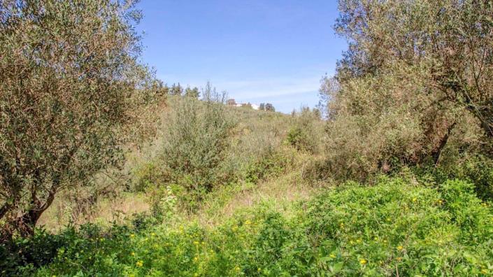 Image No.8-Villa de 6 chambres à vendre à Apokoronas