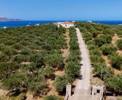 Image No.15-Villa de 3 chambres à vendre à Almyrida