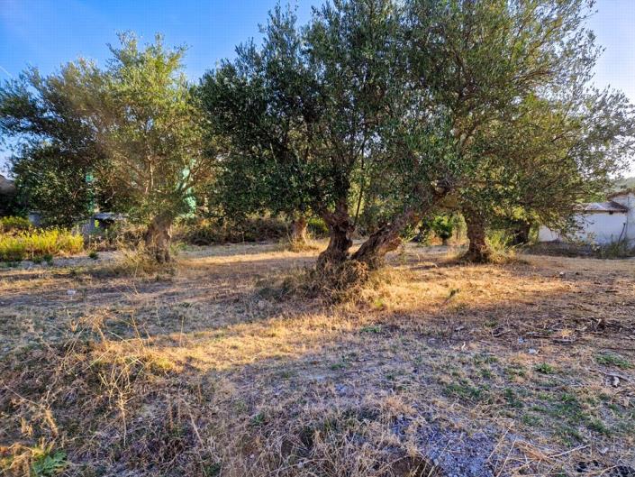 Image No.21-Maison de 1 chambre à vendre à Apokoronas