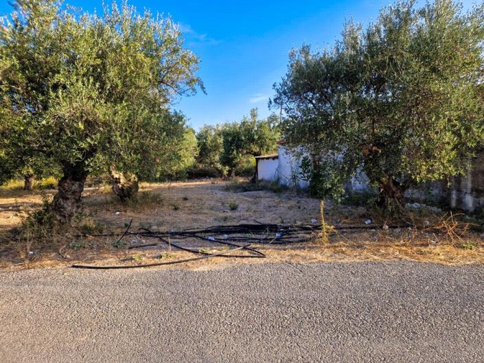 Image No.23-Maison de 1 chambre à vendre à Apokoronas