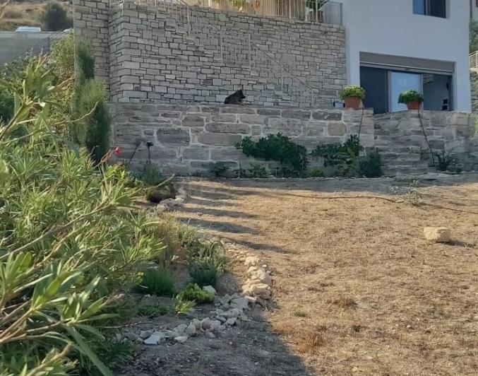 Image No.8-2 Bed House for sale