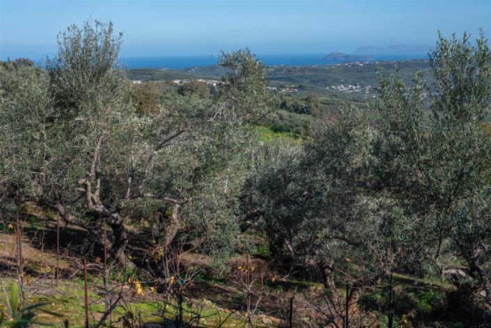 Image No.12-Villa de 5 chambres à vendre à Kolymbari