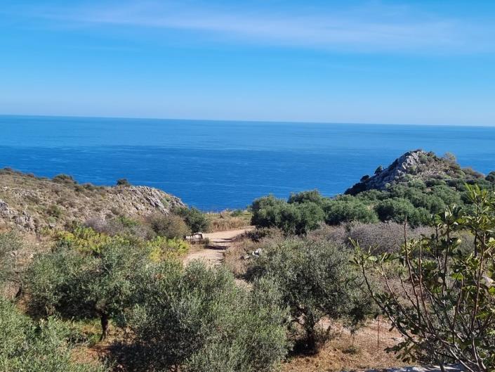 Image No.5-Maison de 3 chambres à vendre à Kefalas