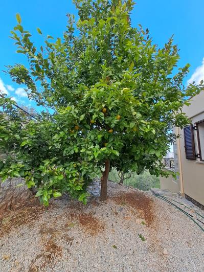 Image No.10-Maison de 3 chambres à vendre à Kefalas