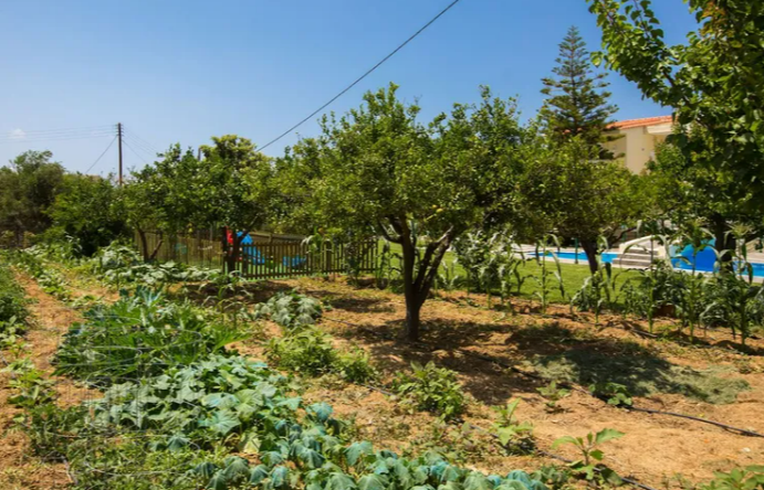 Image No.12-Villa de 5 chambres à vendre à Pigi