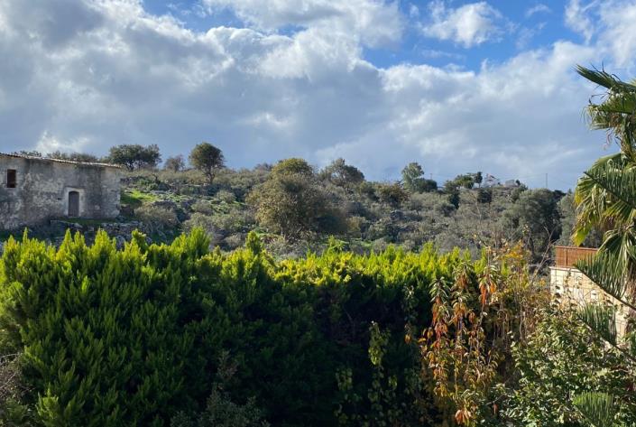 Image No.39-Maison de 2 chambres à vendre à Drapanos