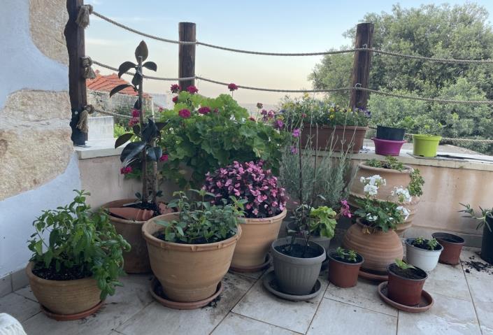 Image No.40-Maison de 2 chambres à vendre à Melidoni