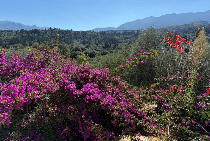 Image No.35-3 Bed Villa for sale